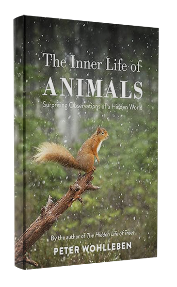 The Inner Life of Animals: Surprising Observations of a Hidden World by Peter Wohlleben